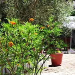 Elvish Garden Boutique Bed & Breakfast Berat