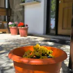 Bed & Breakfast Elvish Garden Boutique
