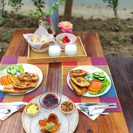 Bed & Breakfast Elvish Garden Boutique Berat