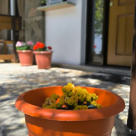 Panzió Elvish Garden Boutique