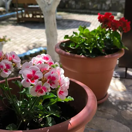 Bed & Breakfast Elvish Garden Boutique 3*