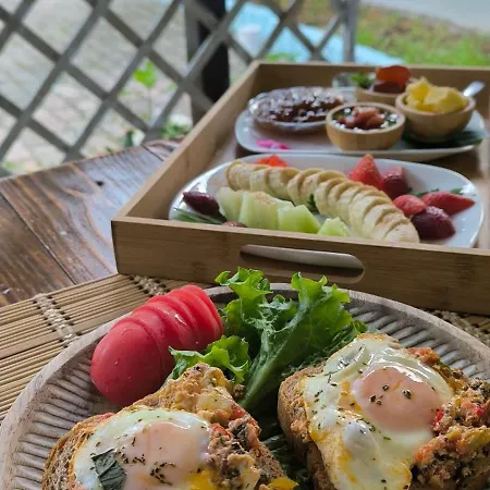 Elvish Garden Boutique