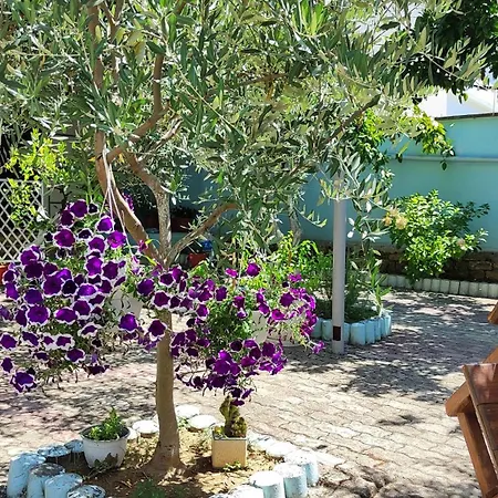 Elvish Garden Boutique Berat