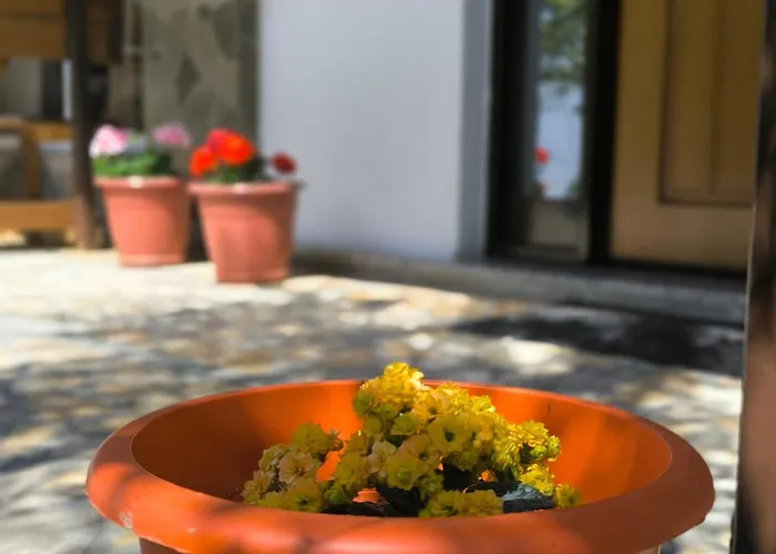 Alojamento de Acomodação e Pequeno-almoço Elvish Garden Boutique